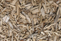 biomass boilers Cwmnantyrodyn